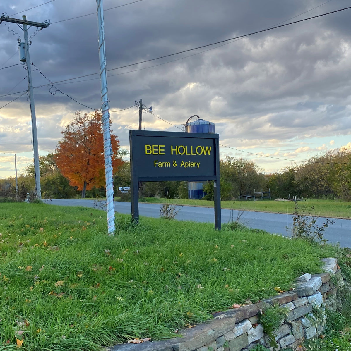 Visiting Bee Hollow Farm and Apiary in Schodack Landing Taste NY Todd
