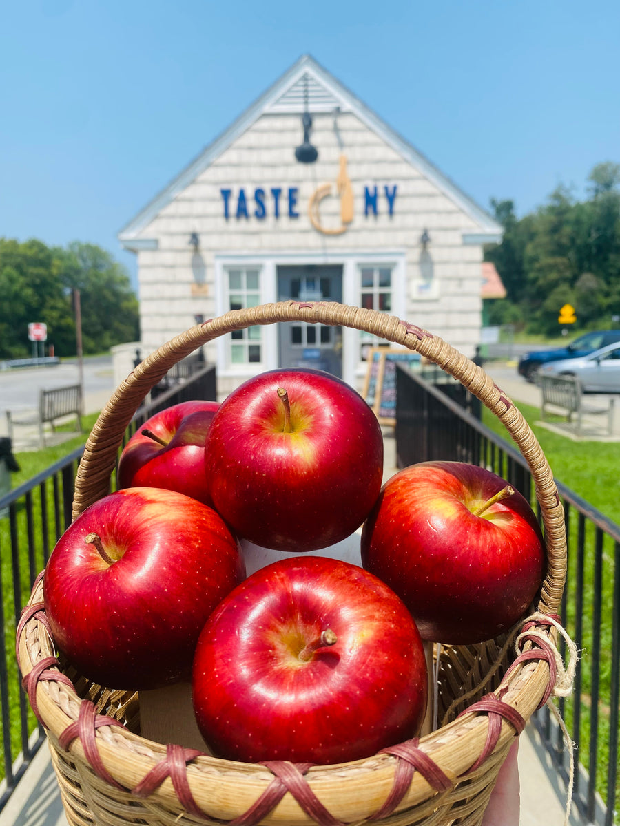Apple Picking in the Hudson Valley Taste NY Todd Hill