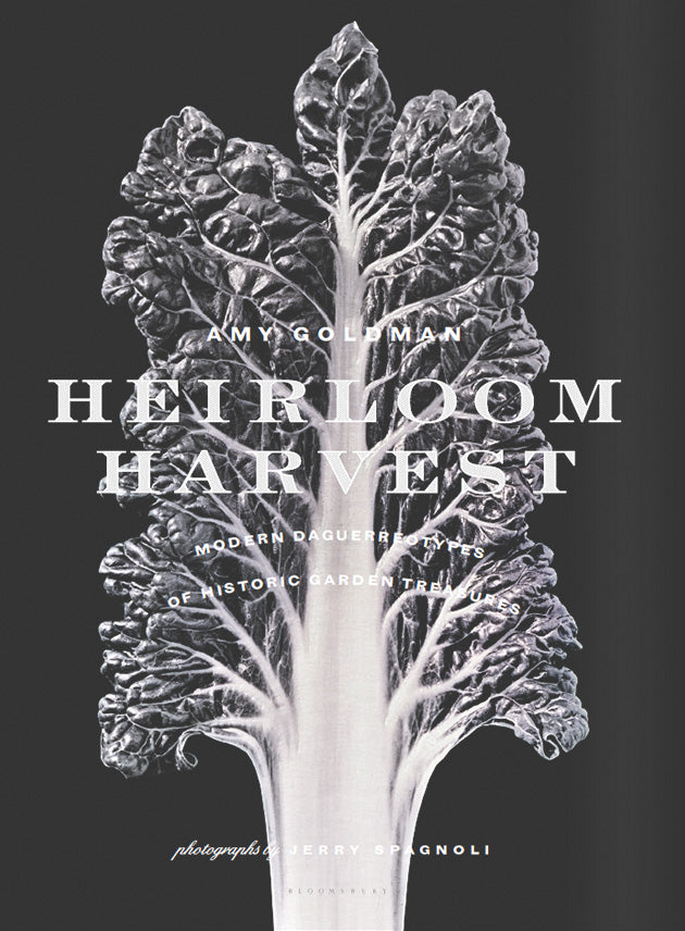 In Heirloom Harvest , Amy's essay, 