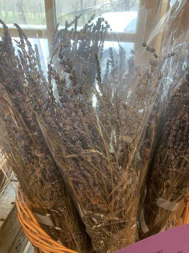 Instantly add freshness to any room with the soft clean scent of freshly dried lavender!    The stalks are assembled in bunches the size of a half dollar, fastened together with rubber bands. Soon after we take the bunches to our drying area to be hung inverted with ample space allowing for adequate air flow. At Hopenhagen Farm, they dry bunches in a cool, airy, and dark area.   Hopenhagen Farm is located in Copenhagen, New York.